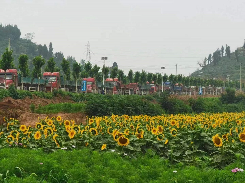a.jpg